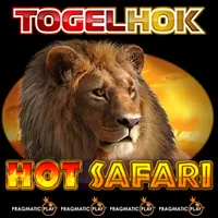 Hot Safari